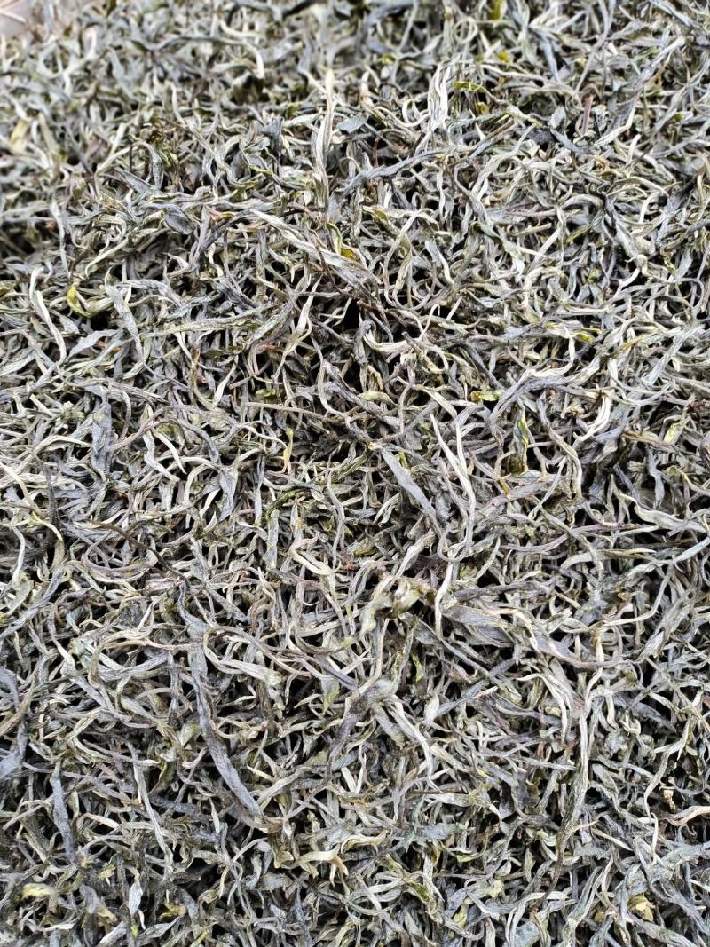 云南保山龙陵古树茶