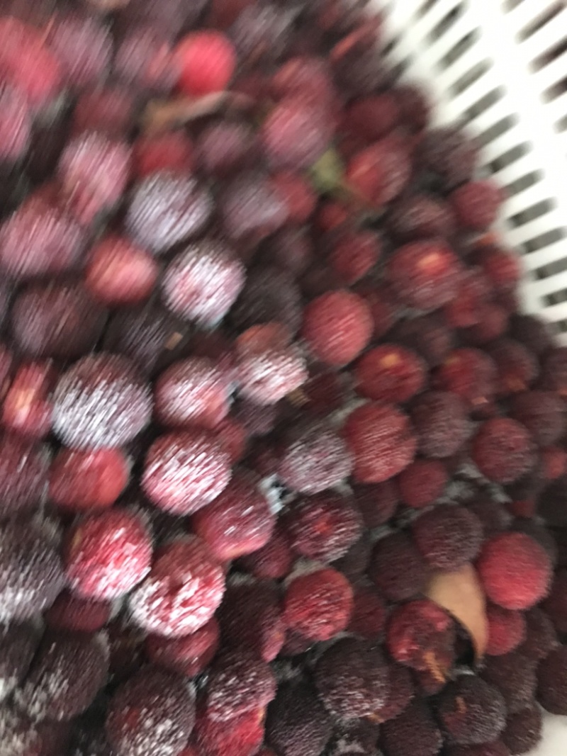杨梅品种荸荠梅，【冷冻】保存，原汁原味，果汁原料，对接加工厂