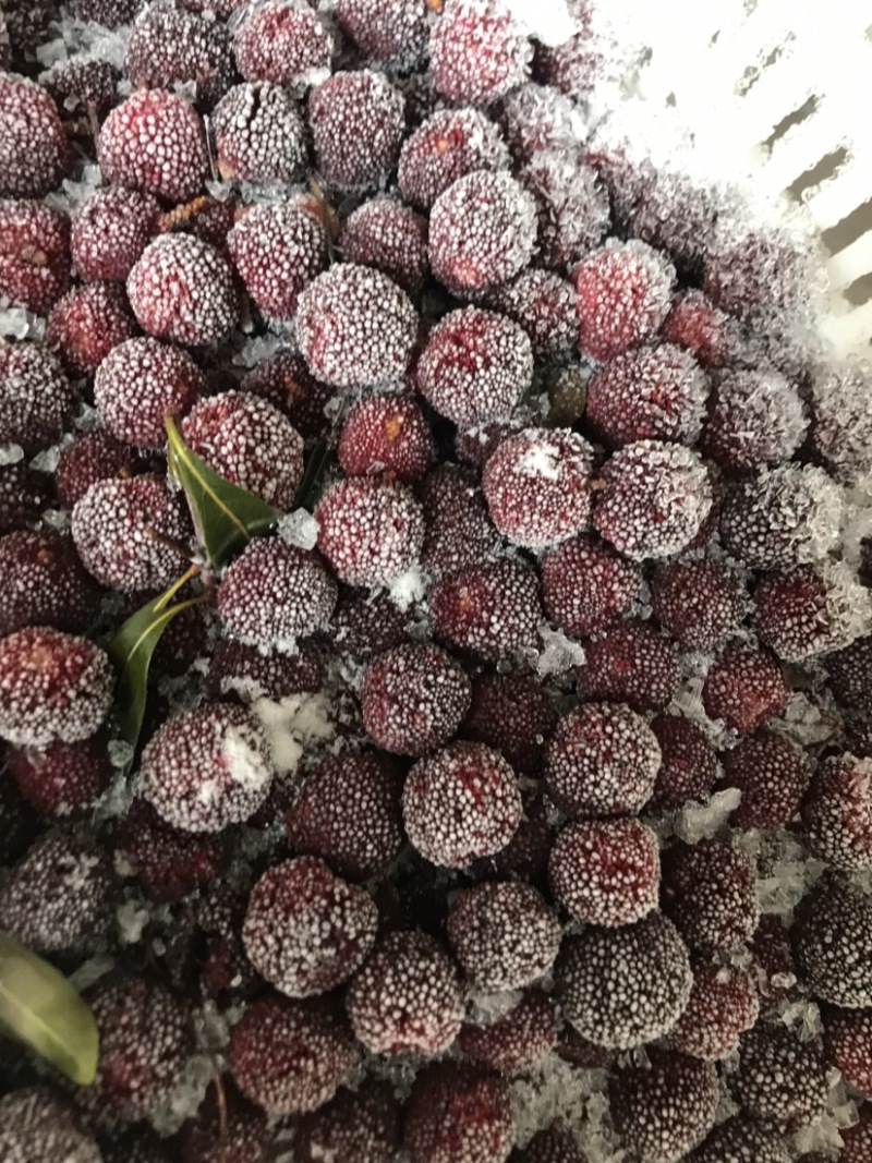 杨梅品种荸荠梅，【冷冻】保存，原汁原味，果汁原料，对接加工厂