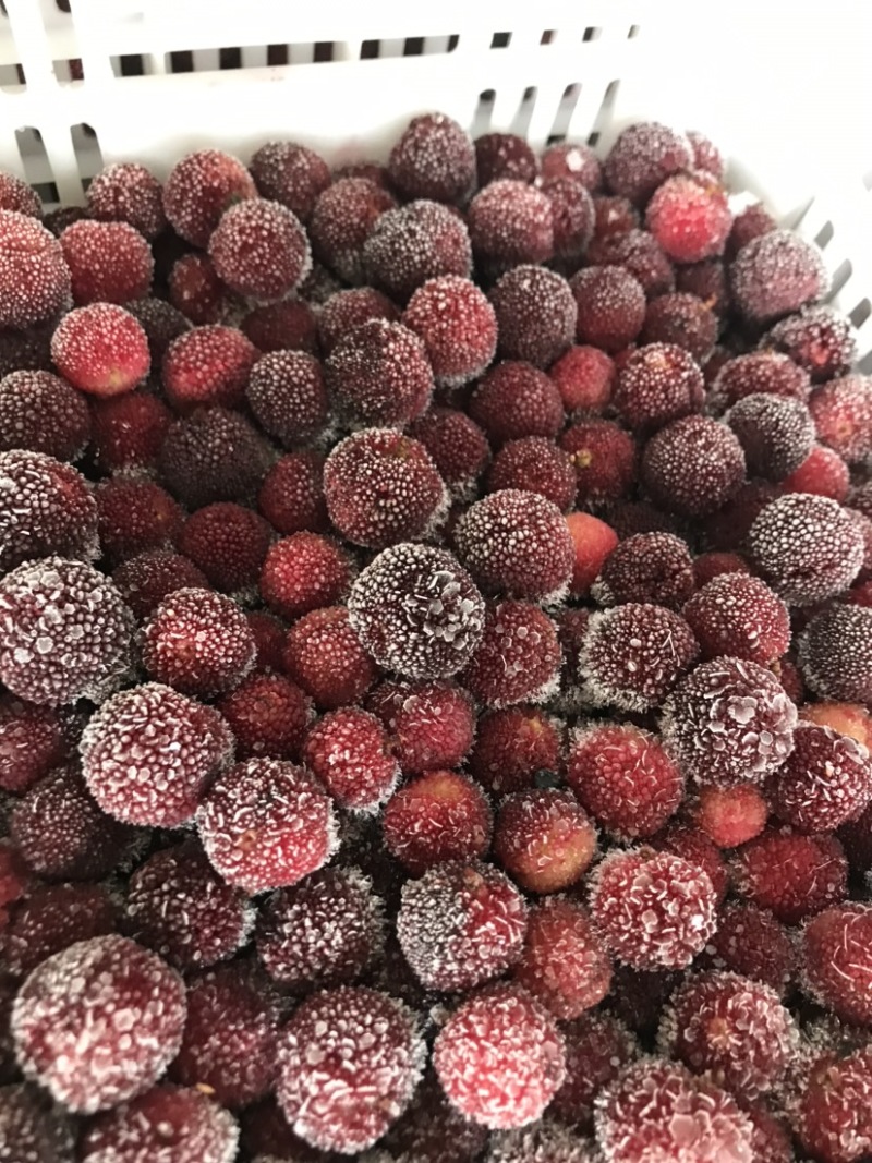 杨梅品种荸荠梅，【冷冻】保存，原汁原味，果汁原料，对接加工厂