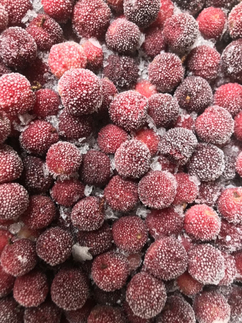 杨梅品种荸荠梅，【冷冻】保存，原汁原味，果汁原料，对接加工厂