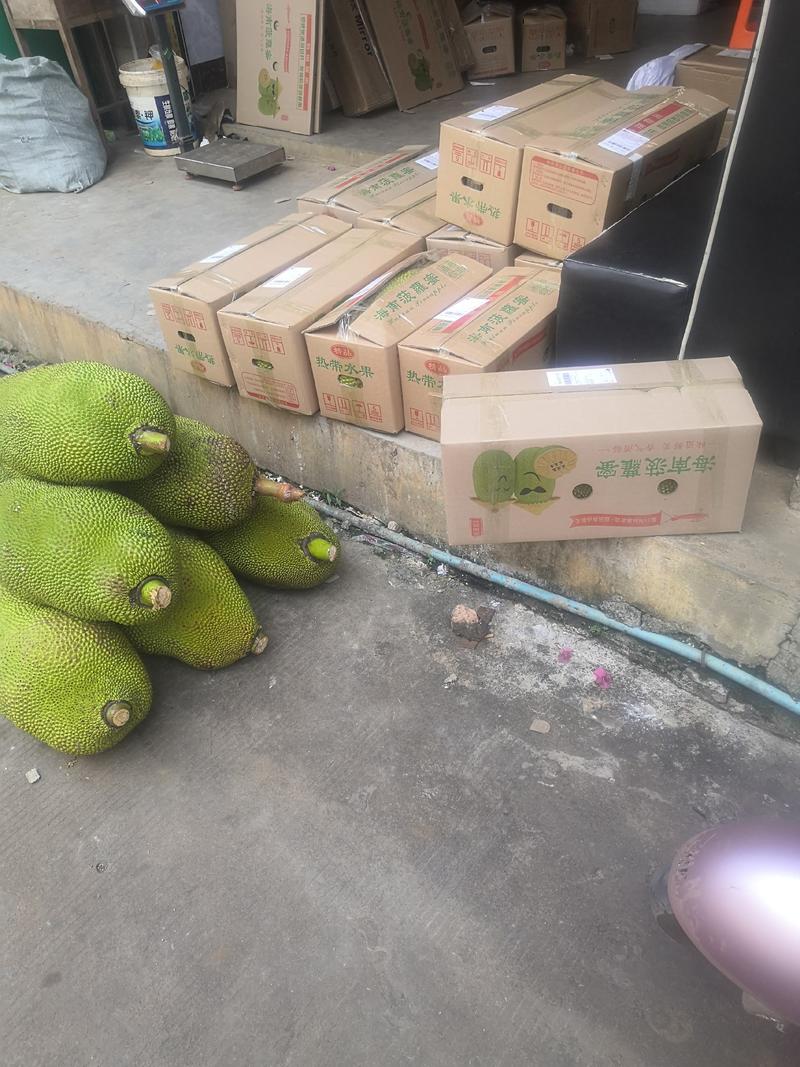 马来西亚一号菠萝蜜专业装车精品打包专业找回头车，诚信经营