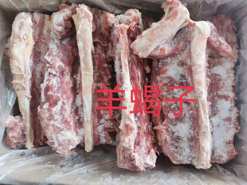 羊蝎子，多肉羊蝎子，满肉羊蝎子都有，质量看得见