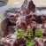 糕羊胯骨，肉多质量好，一手货源，量大从优