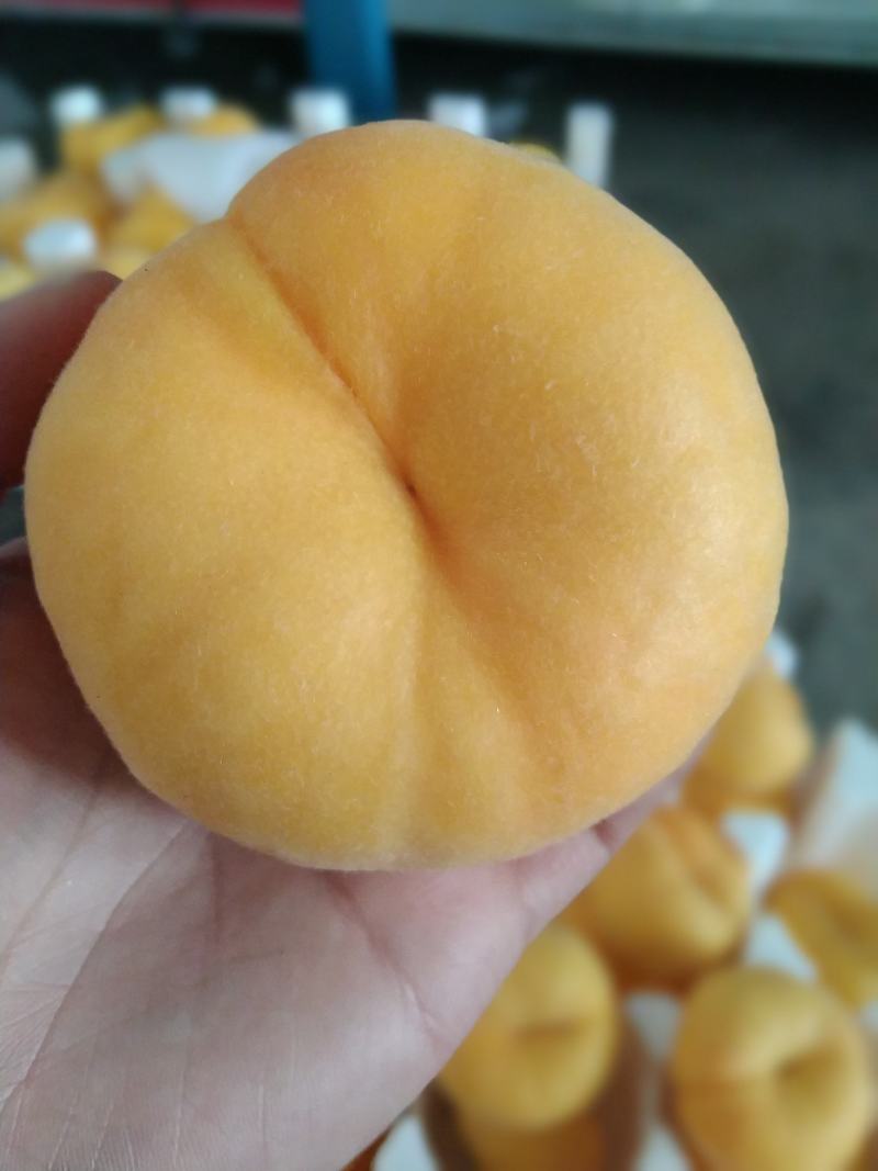 山东蒙阴黄金蟠桃毛蟠桃新鲜桃子现摘现发包邮