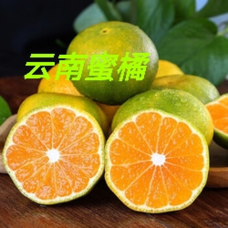 湖北小叶果小叶桔鲜货供应.叶橘高山蜜桔.薄皮多汁
