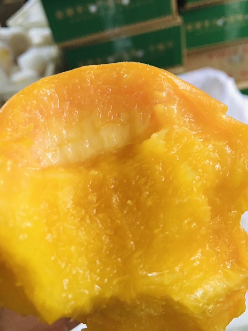 山东蒙阴黄油蟠桃新鲜桃子蟠桃现摘现发