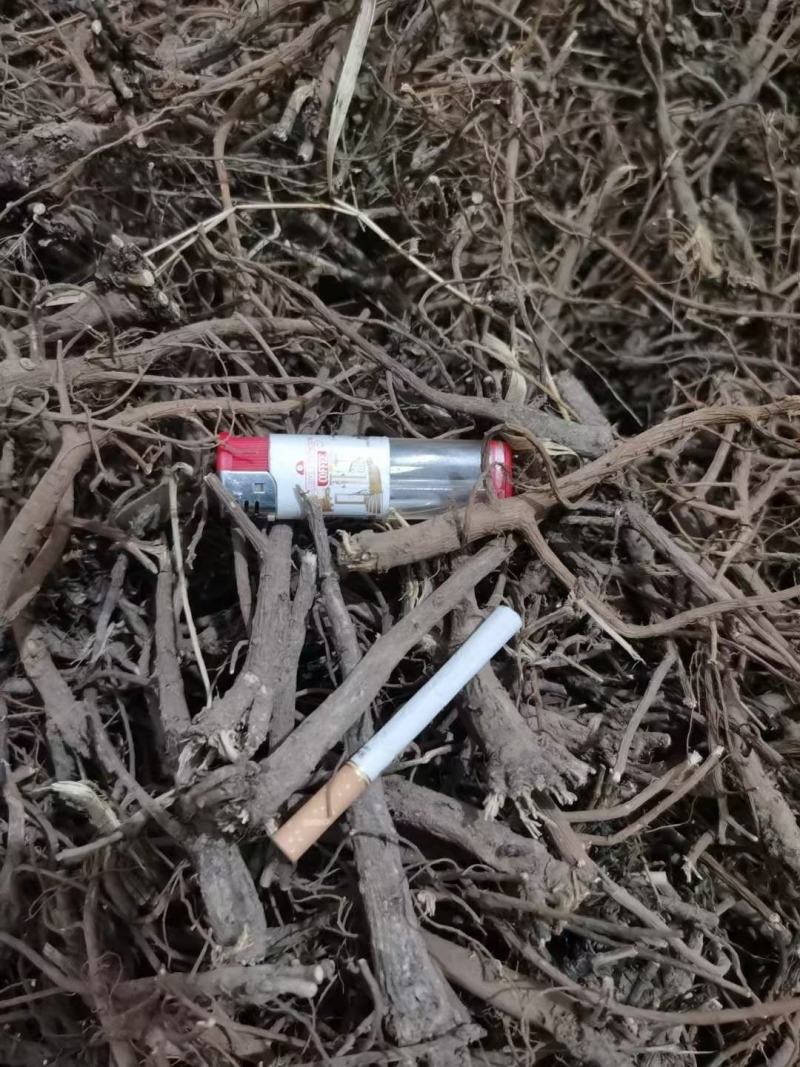 百蕊草种子购销以及药材种子黄芹籽材胡籽购销