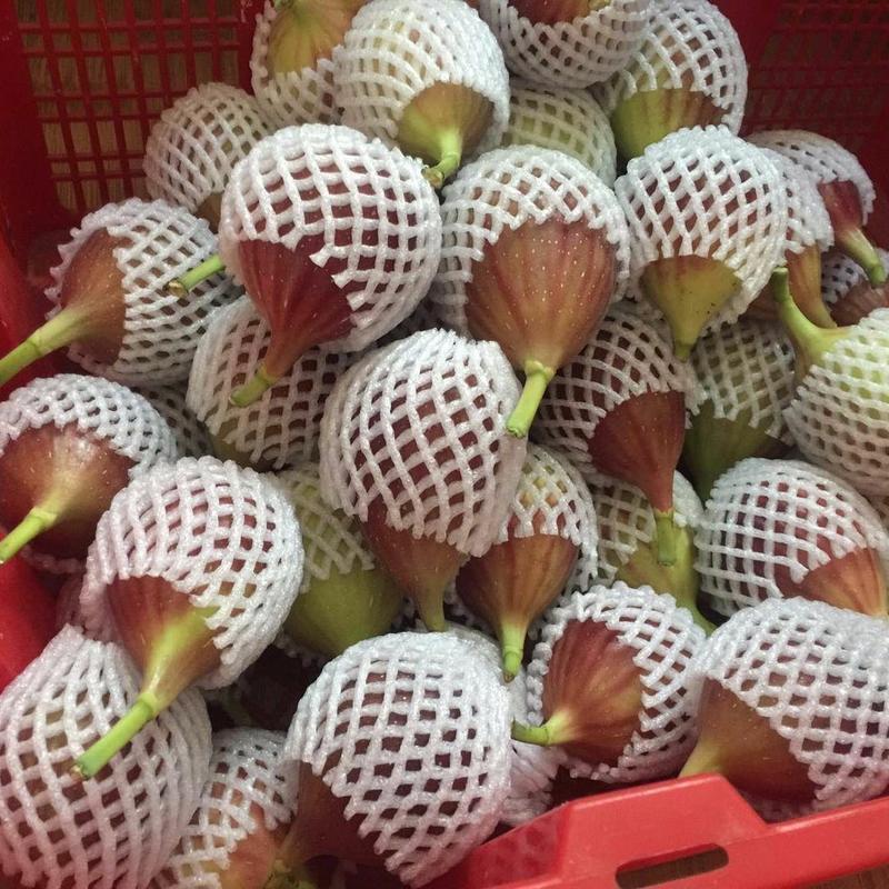 无花果新鲜水果可供电商商超市场一件代发产地直发四川成都