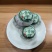 云南小沱茶普洱茶熟茶叶，小青柑，多口味小坨茶