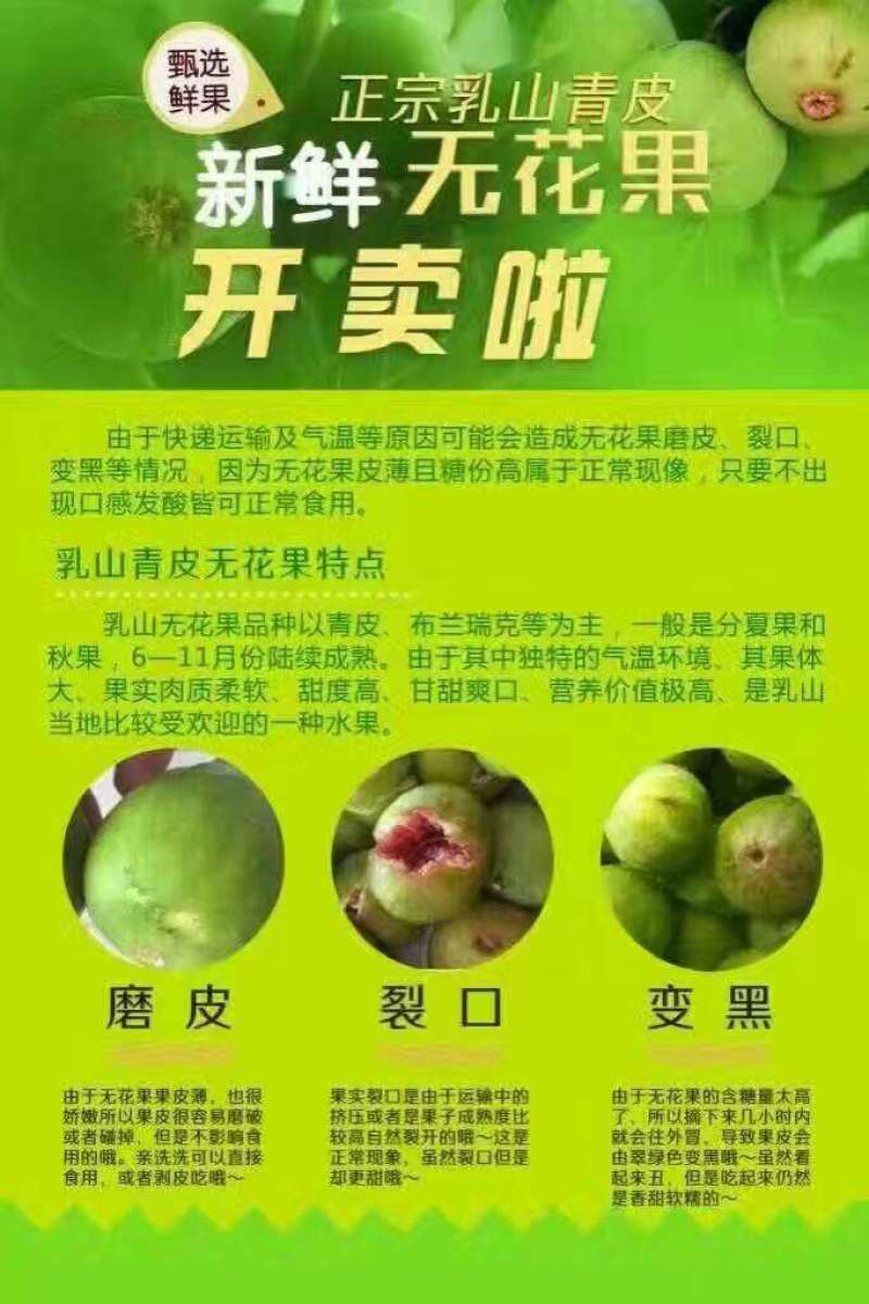 威海青皮无花果，自家果园，顺丰包邮，代办，代发
