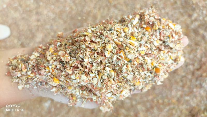 碎玉米8个粮杂质霉变少养殖专用质量杠