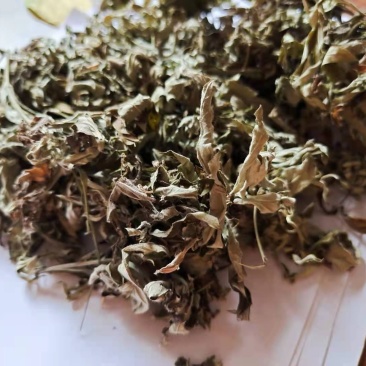 艾叶，质量保证量大从优，产地直销