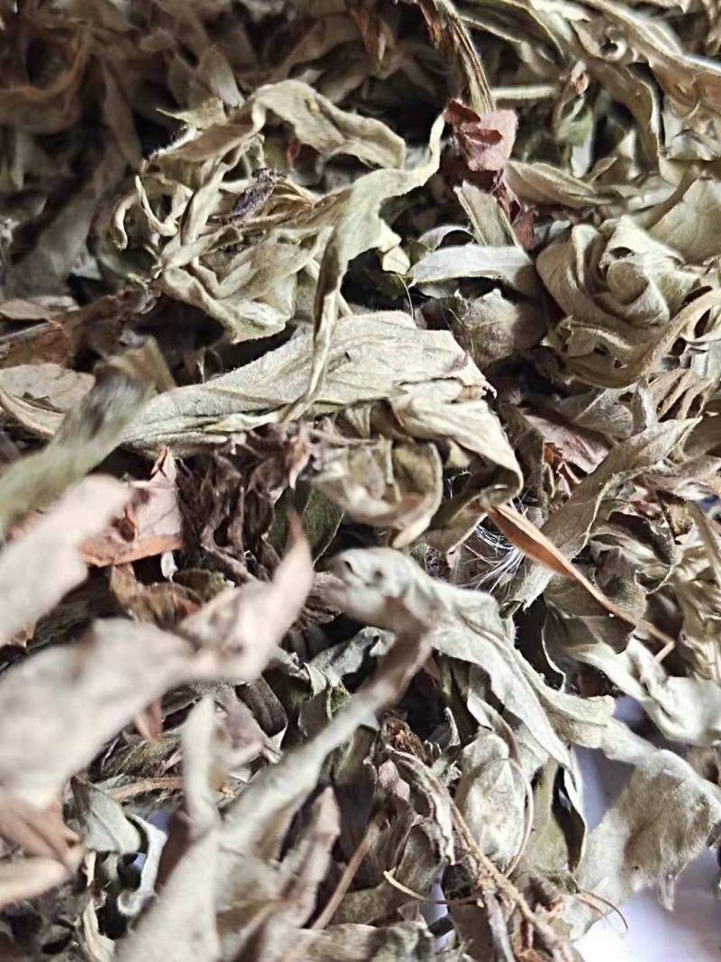 艾叶，质量保证量大从优，产地直销