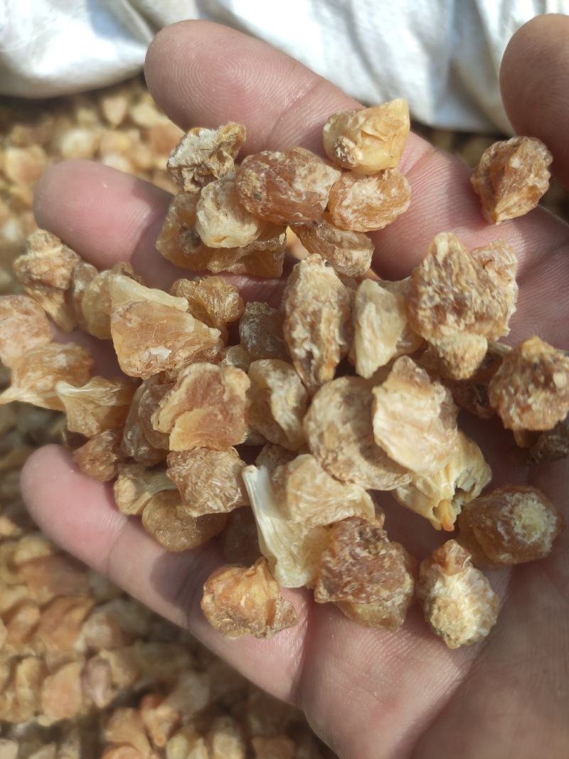薤白量大从优干货常年经营各种中药材