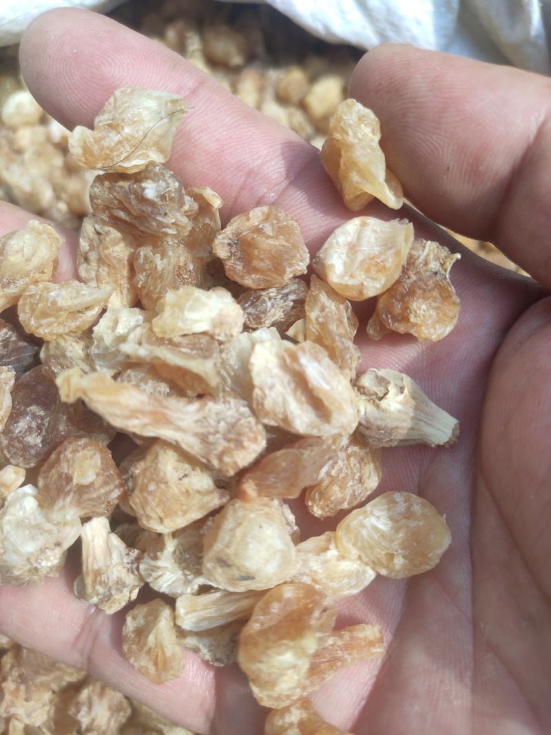 薤白量大从优干货常年经营各种中药材