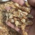 薤白量大从优干货常年经营各种中药材