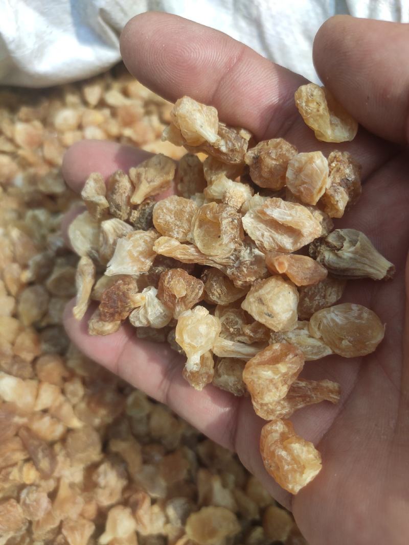 薤白量大从优干货常年经营各种中药材