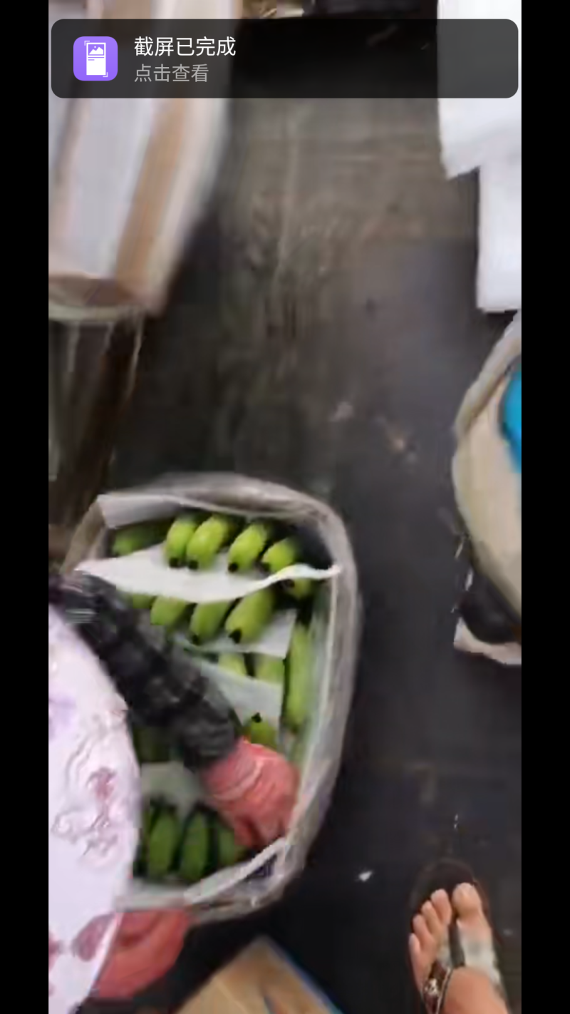 广东湛江遂溪香蕉亮货............