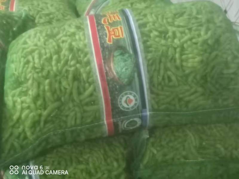 山东毛豆翠绿宝毛豆夹满圆毛豆基地直发一条龙服务