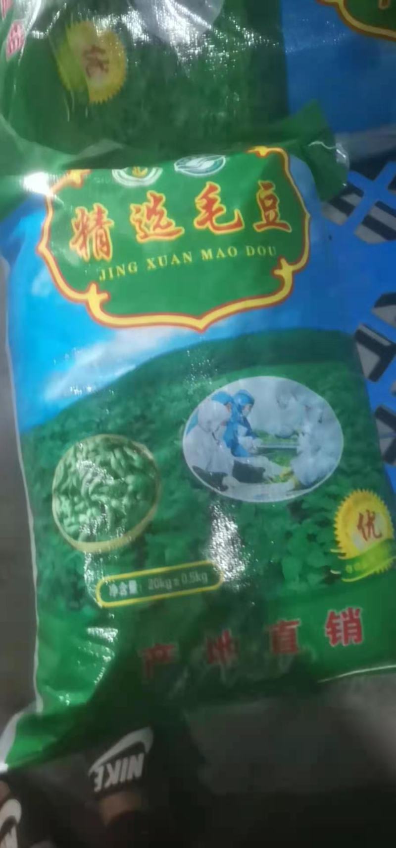 山东毛豆翠绿宝毛豆夹满圆毛豆基地直发一条龙服务