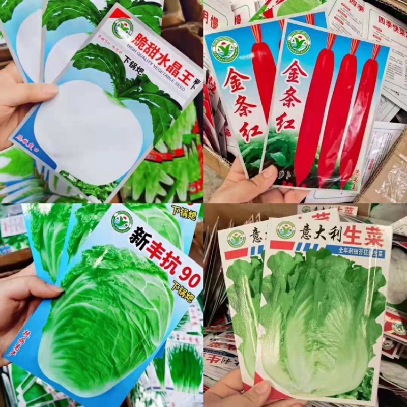 秋季菜种保证发芽率江湖地摊1元一包模式跑量