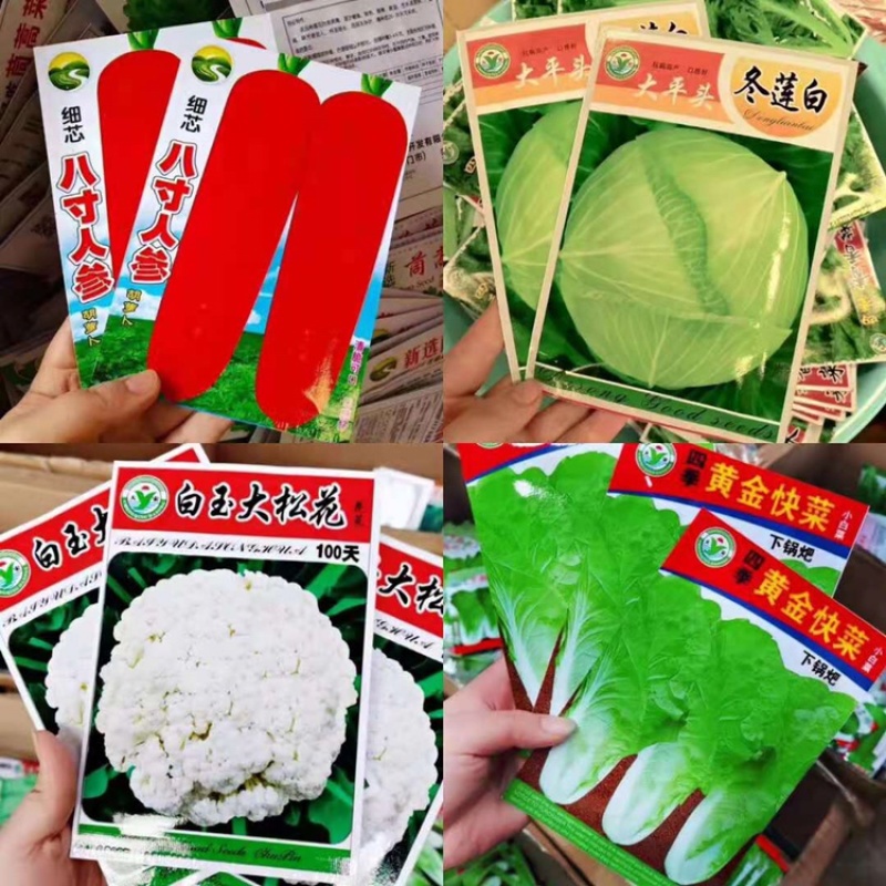 秋季菜种保证发芽率江湖地摊1元一包模式跑量