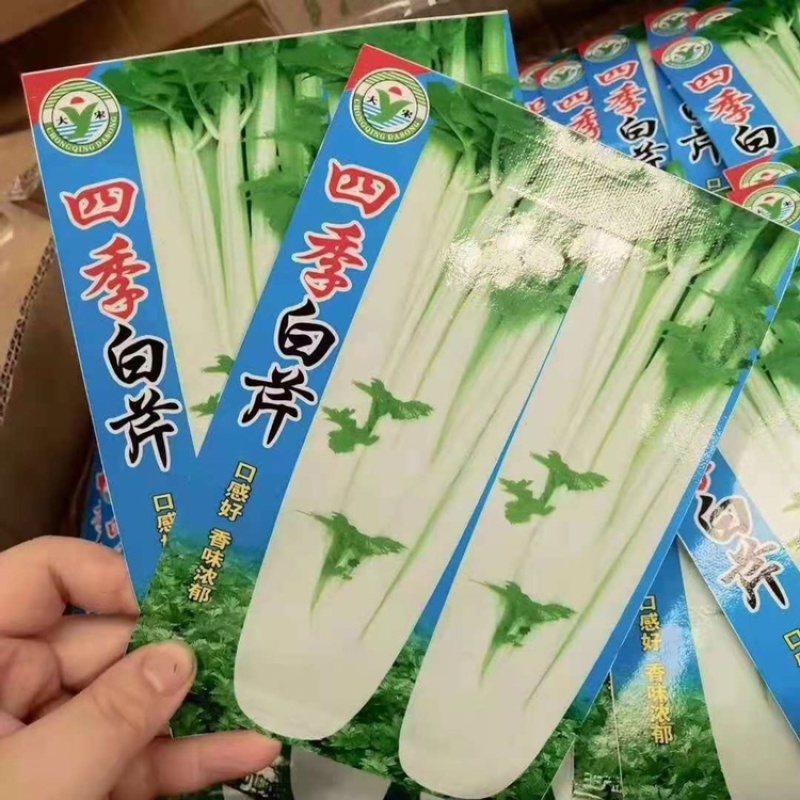 秋季菜种保证发芽率江湖地摊1元一包模式跑量