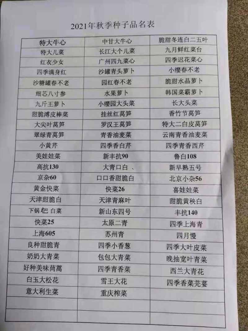 秋季菜种保证发芽率江湖地摊1元一包模式跑量