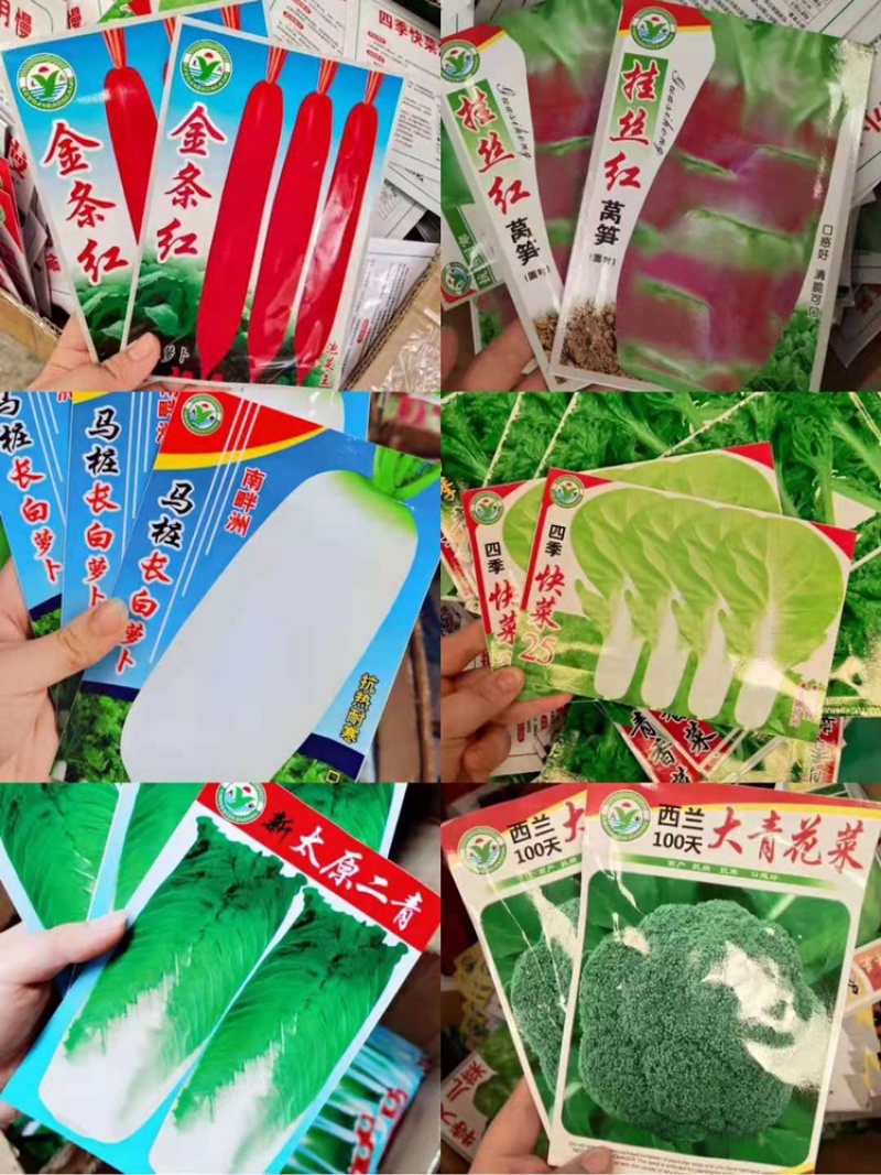 秋季菜种保证发芽率江湖地摊1元一包模式跑量