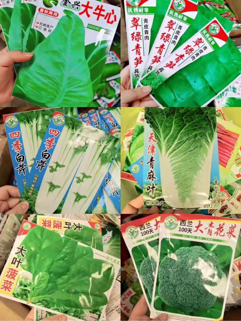秋季菜种保证发芽率江湖地摊1元一包模式跑量
