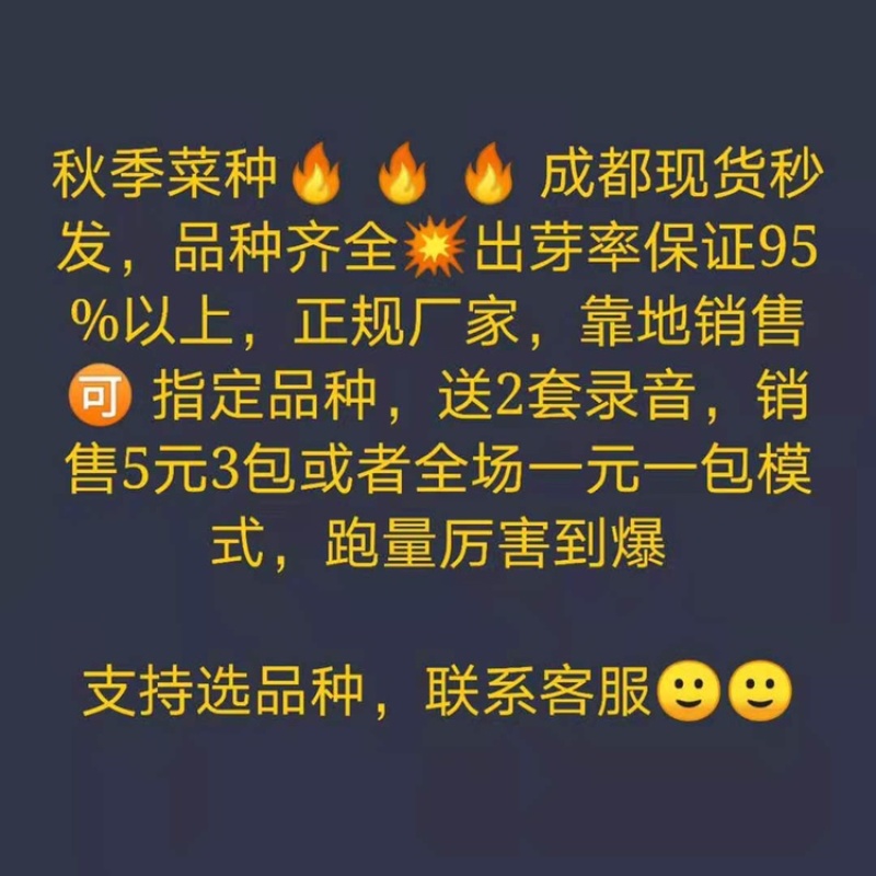 秋季菜种保证发芽率江湖地摊1元一包模式跑量