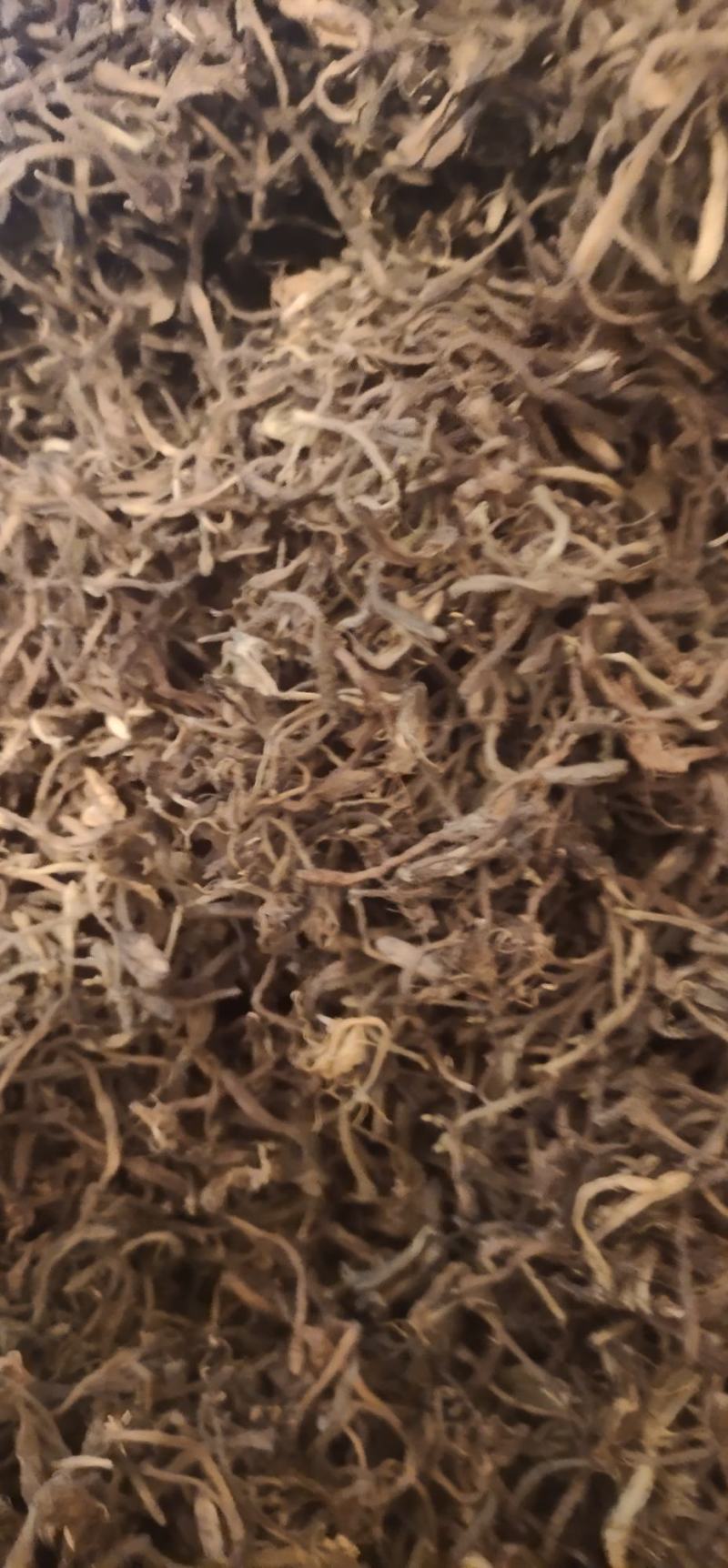 【热卖】金银花，干金银花，量大质优，无杂质全国供应
