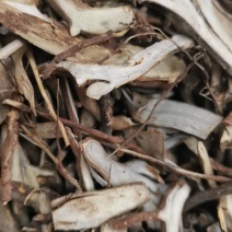 虎刺根虎刺绣花针批发零售常年供应大货质量优良