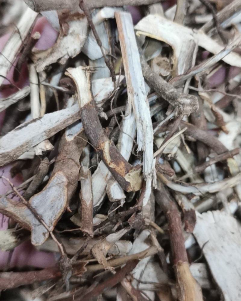虎刺根虎刺绣花针批发零售常年供应大货质量优良
