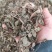 虎刺根虎刺绣花针批发零售常年供应大货质量优良
