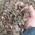 虎刺根虎刺绣花针批发零售常年供应大货质量优良