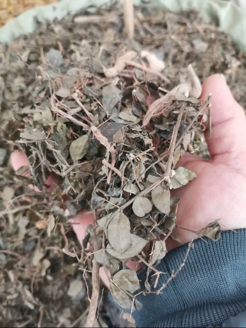 虎刺根虎刺绣花针批发零售常年供应大货质量优良