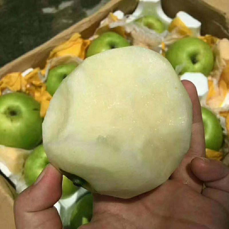 砀山县精品苹果梨，果园现摘现发，货源足质量高，供应全国