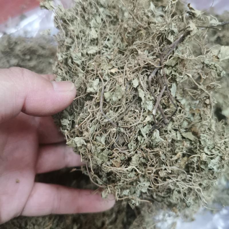 天胡荽产地直发量大从优常年供应一手货源