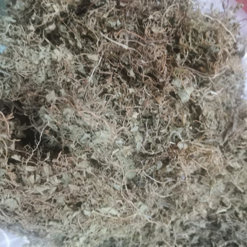 天胡荽产地直发量大从优常年供应一手货源