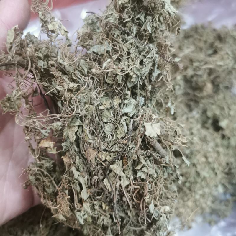 天胡荽产地直发量大从优常年供应一手货源