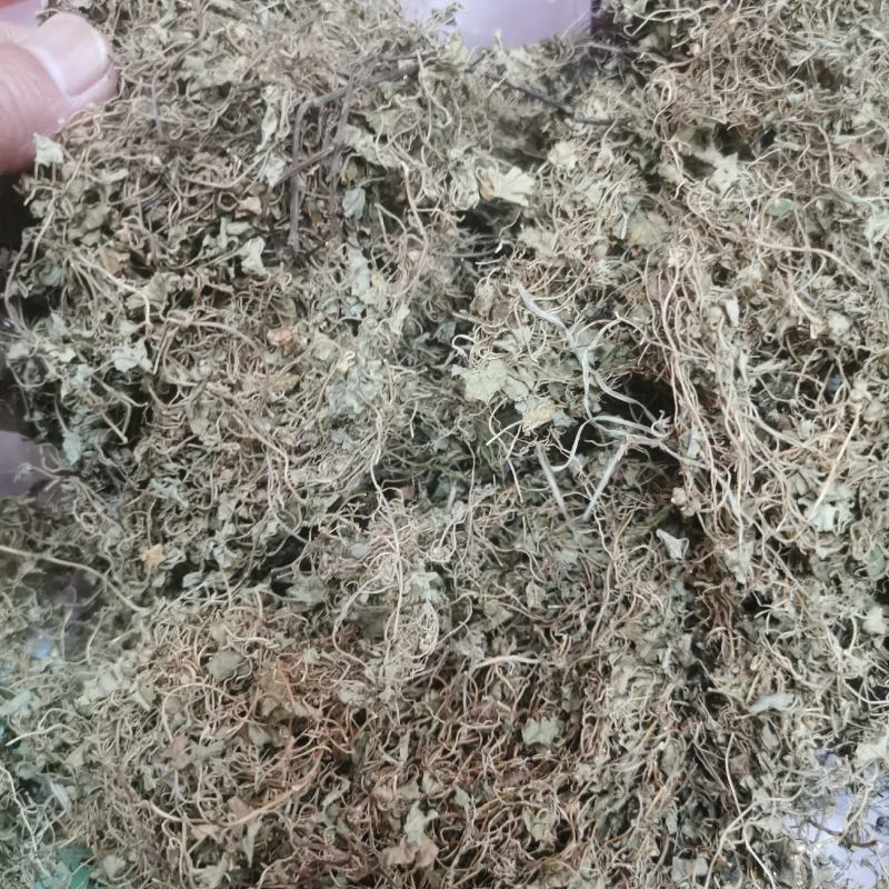 天胡荽产地直发量大从优常年供应一手货源