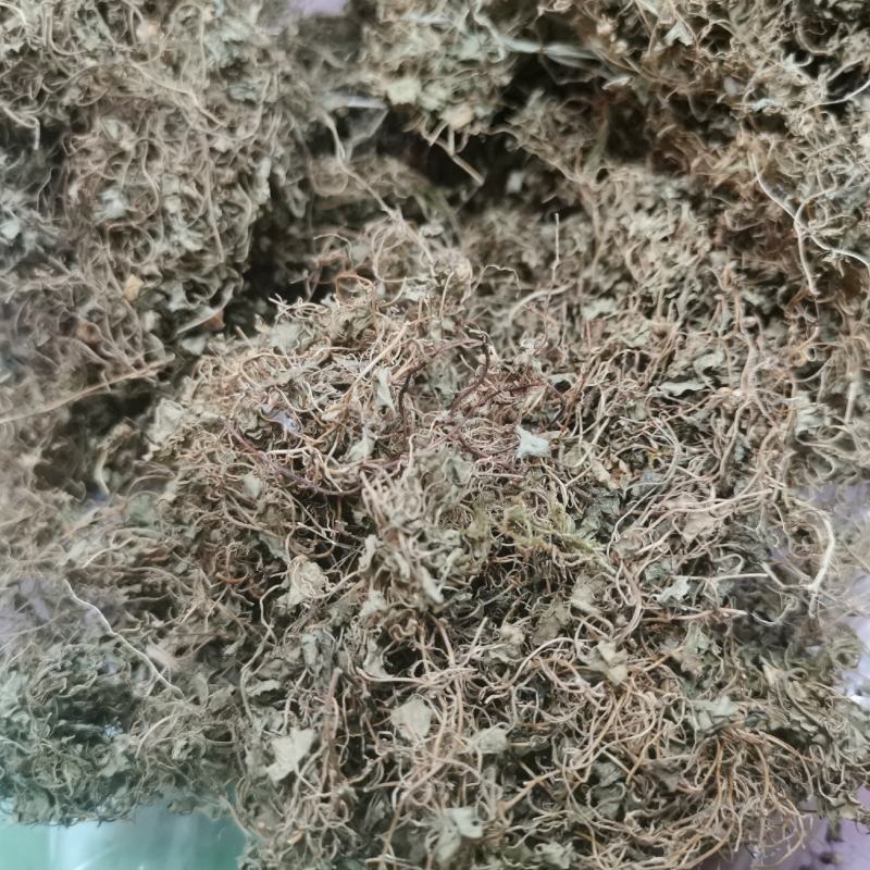 天胡荽产地直发量大从优常年供应一手货源