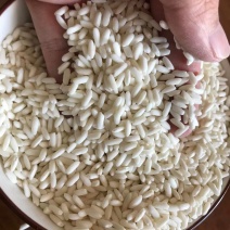 长粒白糯米粽子糯米酒原粮厂家跑量越南长粒糯圆粒糯米批发