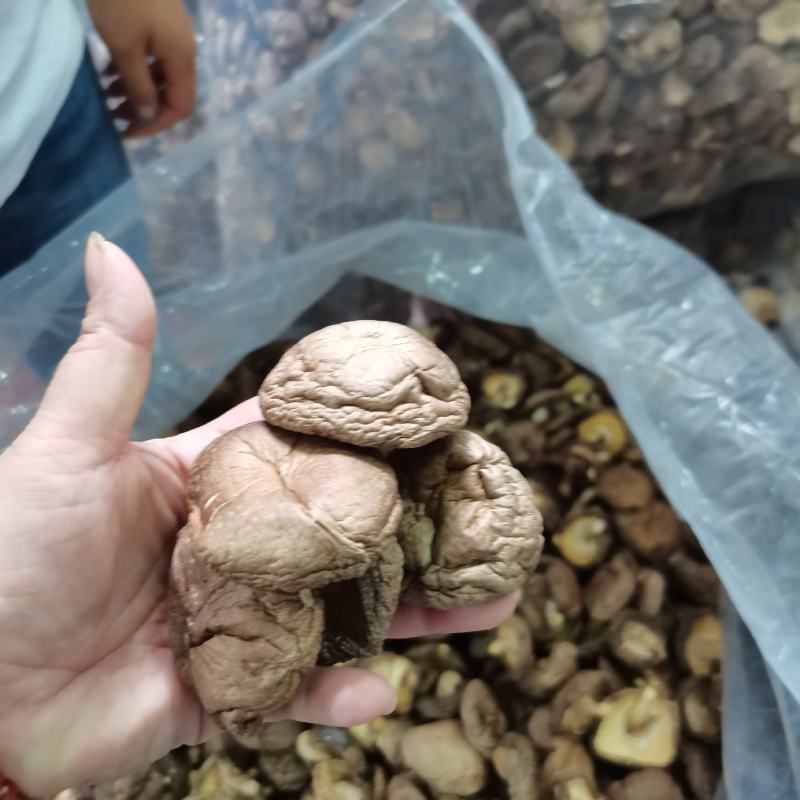 大量批发香菇，有需要的老板请下单