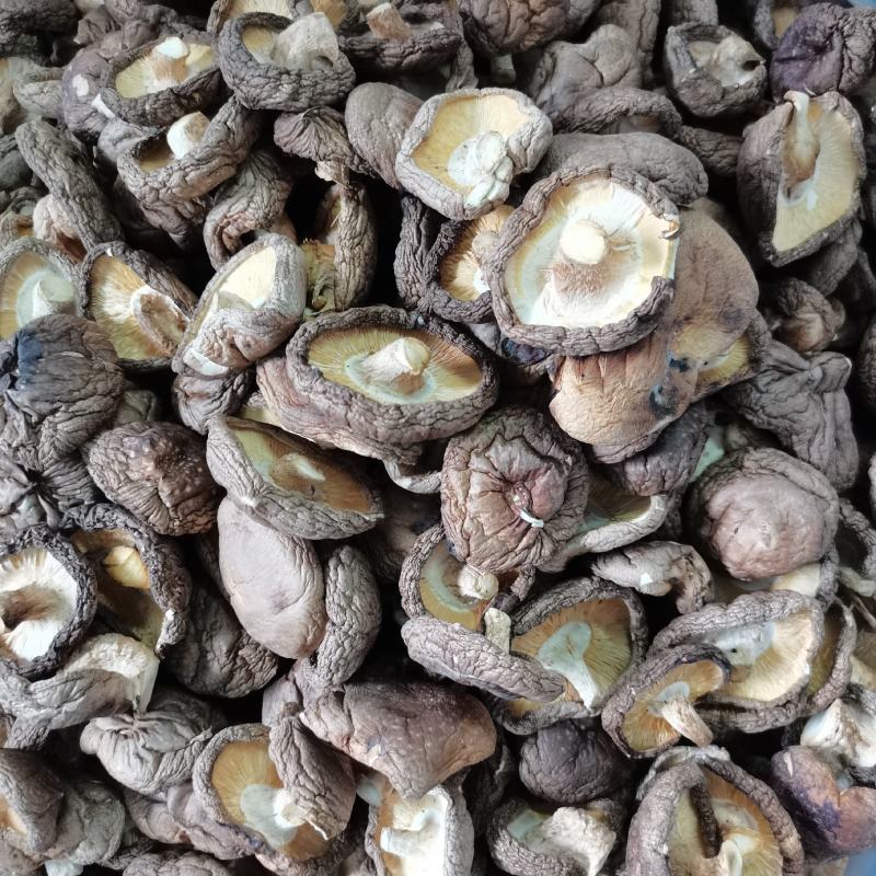 大量批发香菇，有需要的老板请下单