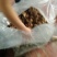 大量批发香菇，有需要的老板请下单