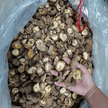 大量批发香菇，有需要的老板请下单