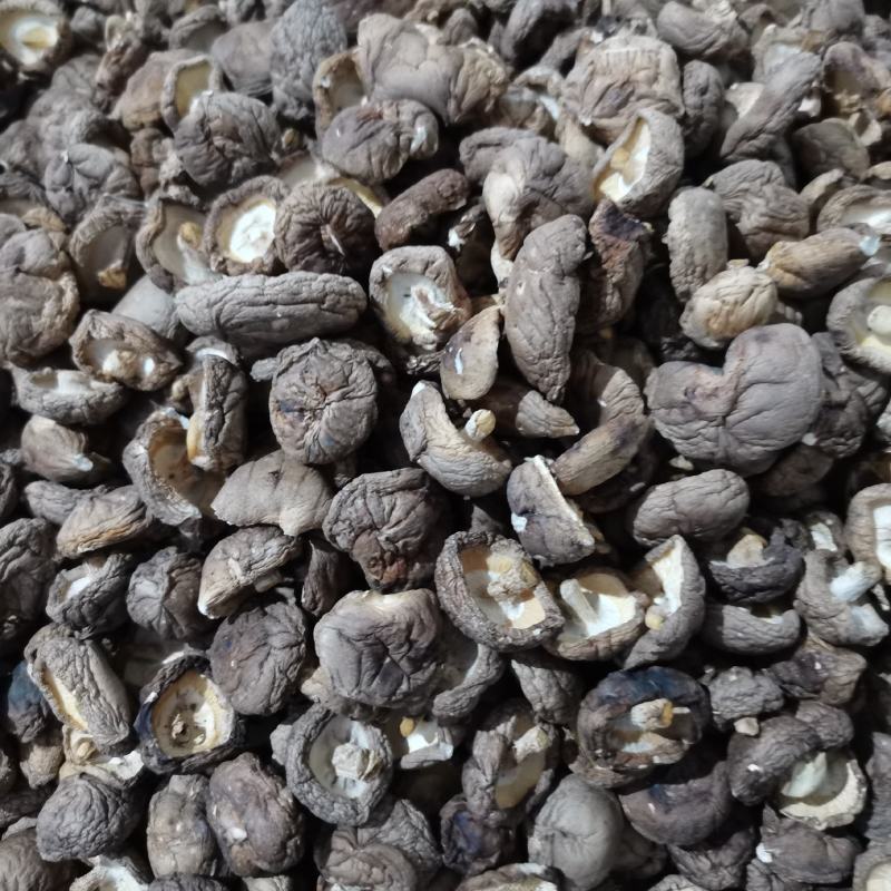 大量批发香菇，有需要的老板请下单